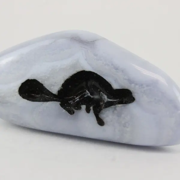 Gray Agate Tumbled Palm Stone Polished Crystal Specimen Platypus 