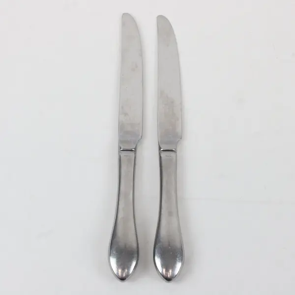 Lot of 2 International Silver INS250 Stainless Steel 9 1/4" Dinner Knives