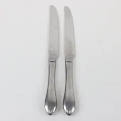 Lot of 2 International Silver INS250 Stainless Steel 9 1/4" Dinner Knives