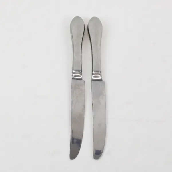 Lot of 2 International Silver INS250 Stainless Steel 9 1/4" Dinner Knives