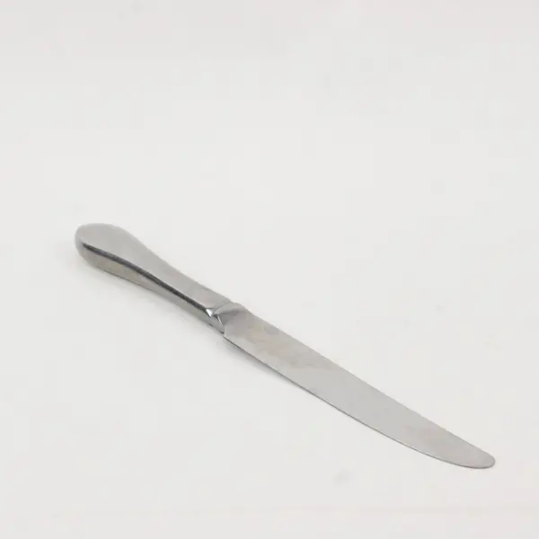 Lot of 2 International Silver INS250 Stainless Steel 9 1/4" Dinner Knives
