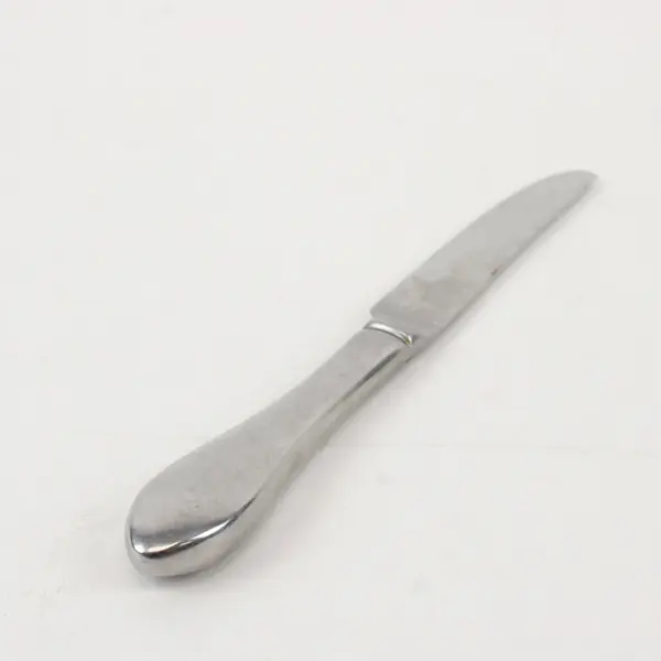 Lot of 2 International Silver INS250 Stainless Steel 9 1/4" Dinner Knives