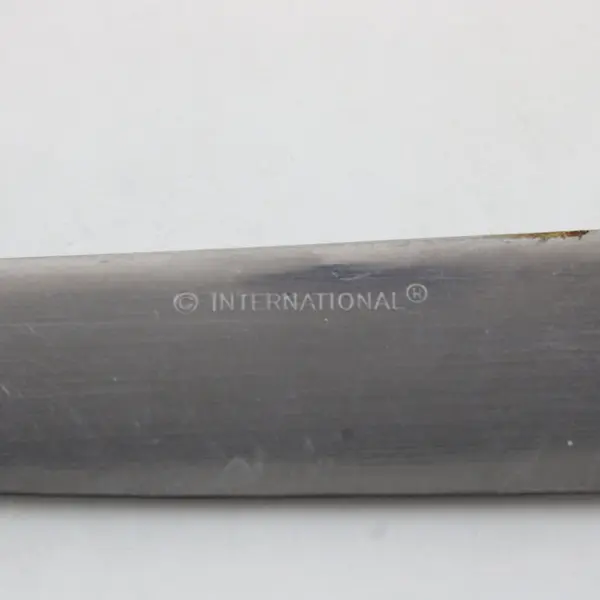 Lot of 2 International Silver INS250 Stainless Steel 9 1/4" Dinner Knives