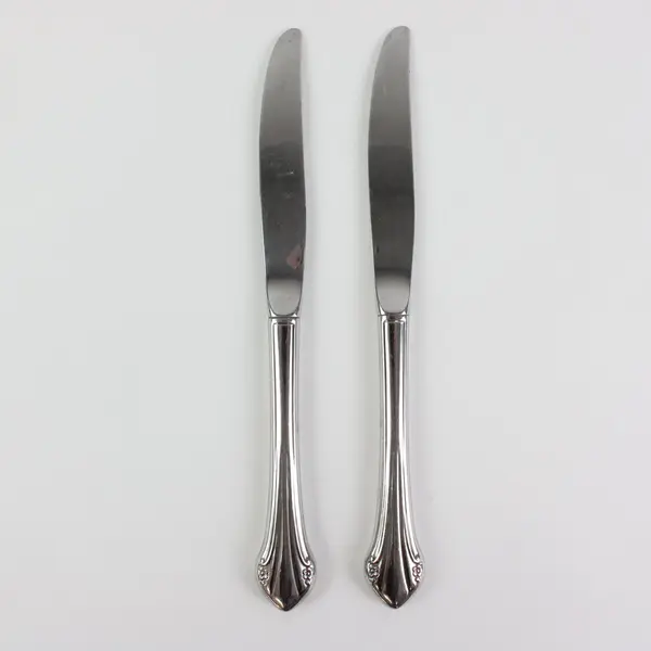 Lot of 2 Oneida Silver Repose Stainless Steel Flatware Dining Knives 9 1/8"