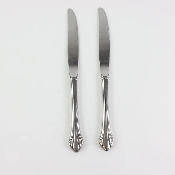 Lot of 2 Oneida Silver Repose Stainless Steel Flatware Dining Knives 9 1/8"