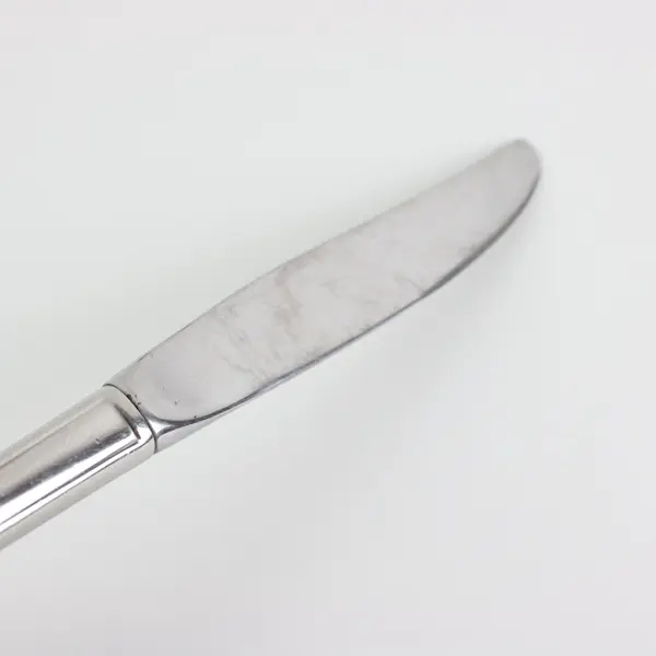 Lot of 2 Oneida Silver Repose Stainless Steel Flatware Dining Knives 9 1/8"