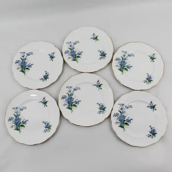 Set Of 6 Royal Albert  Forget Me Not Bone China Salad Plates 8” England