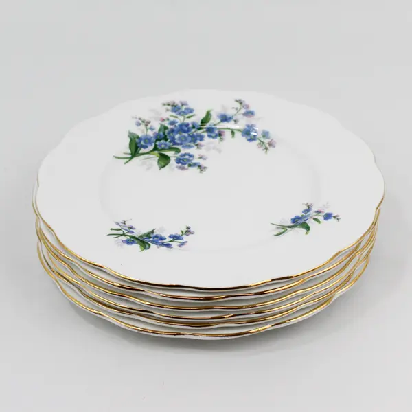 Set Of 6 Royal Albert  Forget Me Not Bone China Salad Plates 8” England