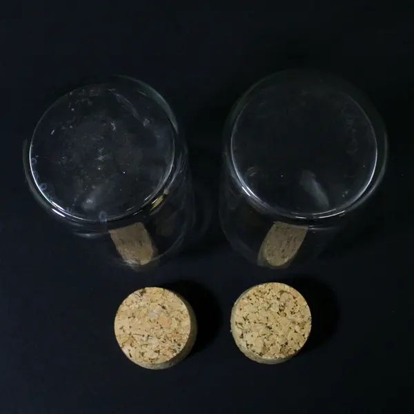 Lot of 2 Clear Glass Jars With Cork Lids 8.5" Tall