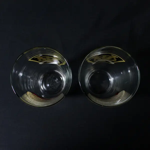 Lot of 2 Golden Valley Brewery 20th Anniversary Beer Glasses 