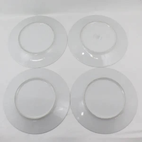 Set Of 4 Pier 1 Kui Hua Dinner Plates 11"