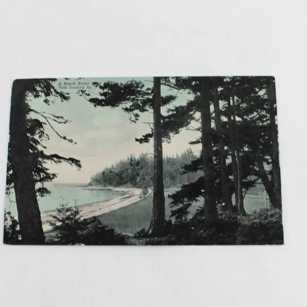 Vintage A Beach Scene Near Seattle Washington Tide Coming In Postcard 
