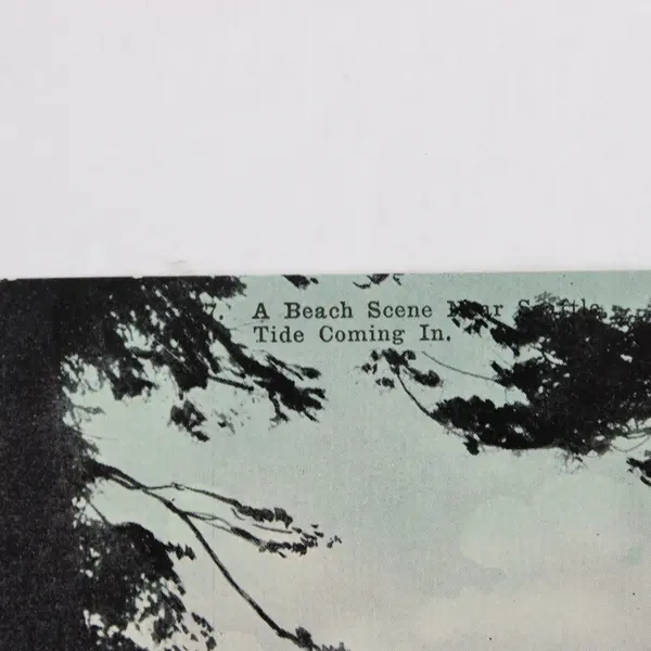Vintage A Beach Scene Near Seattle Washington Tide Coming In Postcard 
