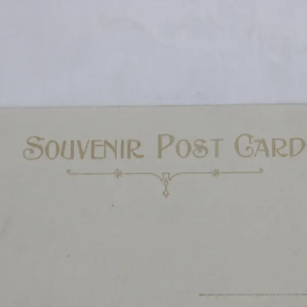 Vintage Government Buildings Victoria British Columbia Canada Litho Postcard
