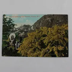 Vintage Children Gathering Wild Flowers Victoria British Columbia Litho Postcard