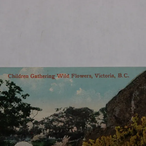 Vintage Children Gathering Wild Flowers Victoria British Columbia Litho Postcard