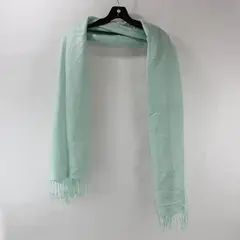PASYMINA Seafoam Green Paisley Damask Pashmina Silk Blend Fringe Scarf 27x72