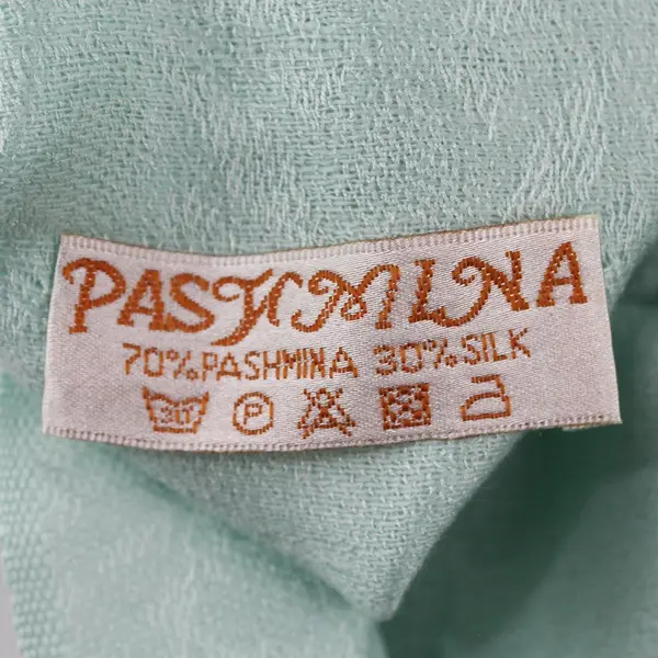 PASYMINA Seafoam Green Paisley Damask Pashmina Silk Blend Fringe Scarf 27x72