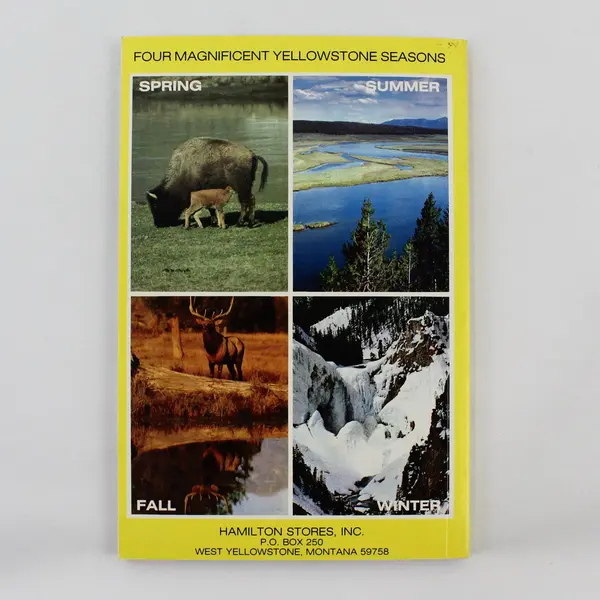 VTG Hamilton's Guide Yellowstone National Park Alan W Cundall PB 99 Color Photos