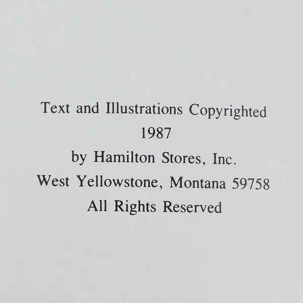 VTG Hamilton's Guide Yellowstone National Park Alan W Cundall PB 99 Color Photos