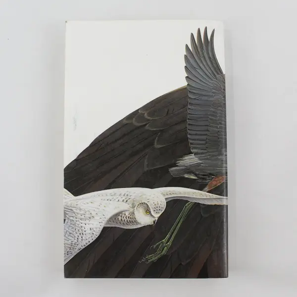 VTG National Geographic's Field Guide to Birds of North America 1989 2nd Ed PB