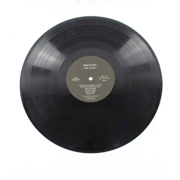 Terry Collard Walk In Love 12" Vinyl LP Record