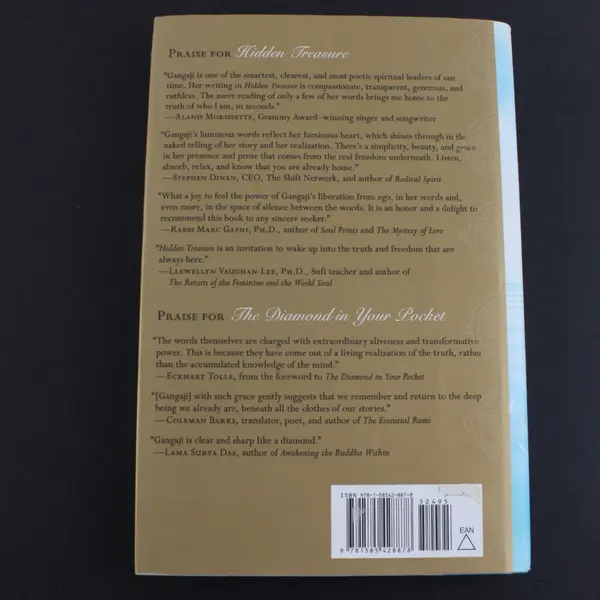 Hidden Treasure Uncovering the Truth in Your Life Story Gangaji 2011 HC DJ Good
