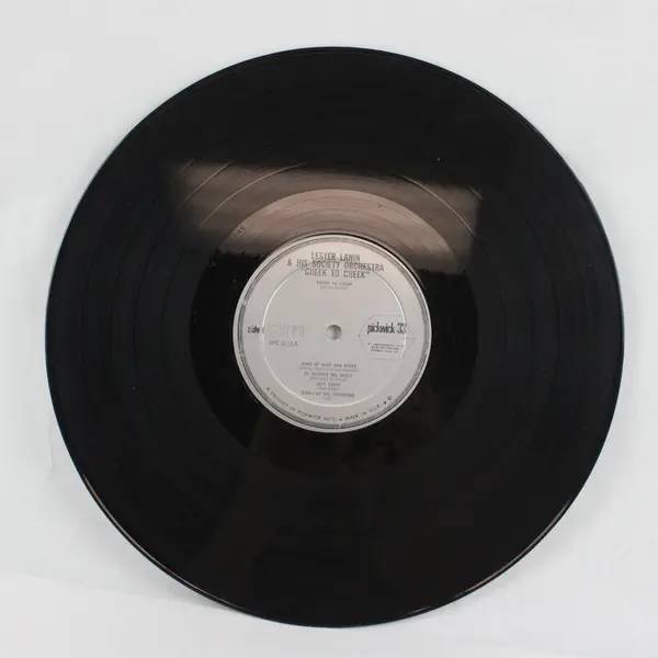 Lester Lanin and His Society Orchestra Cheek to Cheek 12" Vinyl Record
