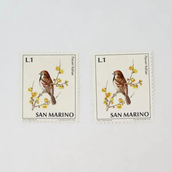 Lot of 6 San Marino 1972 Birds Flowers Mint Hinged Stamps