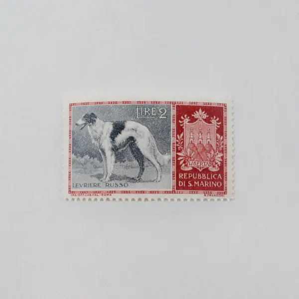 Lot Of 4 San Marino 1956 Dog Stamps Mint Hinged