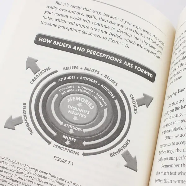 You Are the Placebo: Making Your Mind Matter Joe Dispenza 