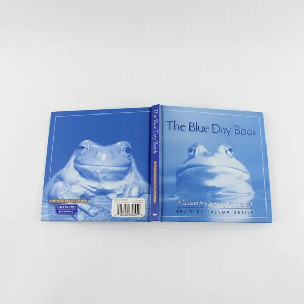 The Blue Day Book Bradley Trevor Greive A Lesson in Cheering Yourself Up