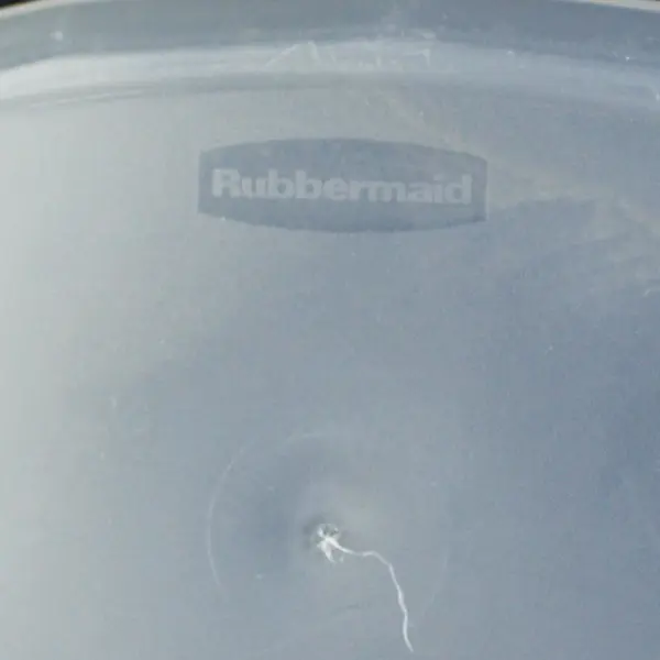 Rubbermaid 1.5 Gallon Plastic Pitcher Storage Container Red Lid