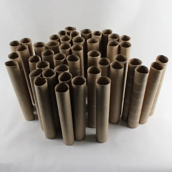 Lot of Empty Paper Towel Rolls Craft Supplies DIY School Project 