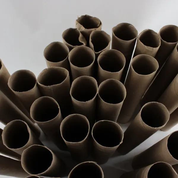 Lot of Empty Paper Towel Rolls Craft Supplies DIY School Project 