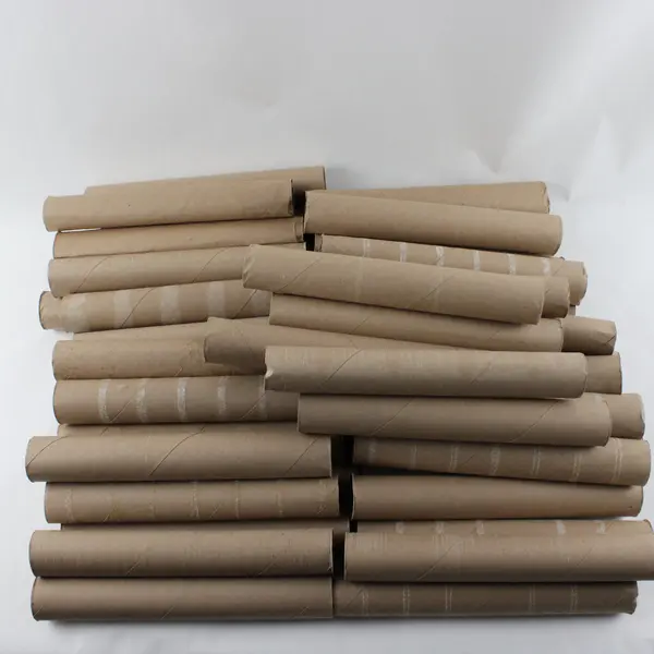 Lot of Empty Paper Towel Rolls Craft Supplies DIY School Project 