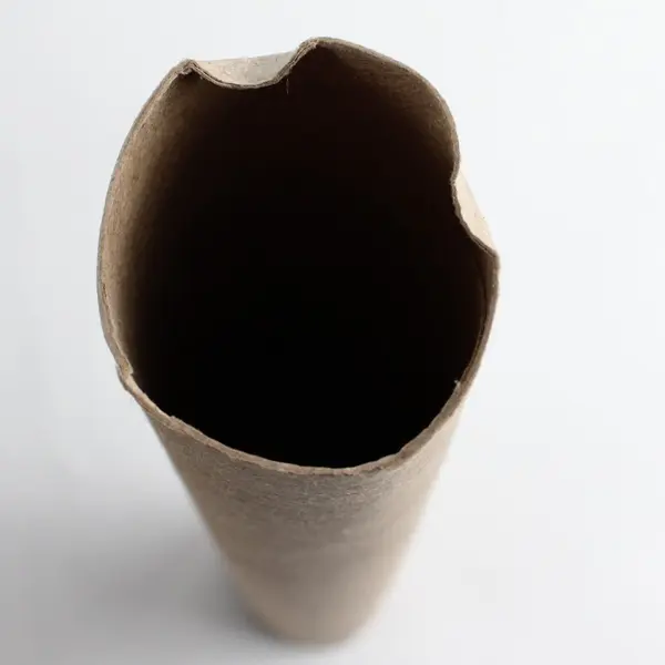 Lot of Empty Paper Towel Rolls Craft Supplies DIY School Project 