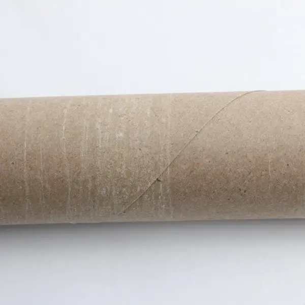 Lot of Empty Paper Towel Rolls Craft Supplies DIY School Project 