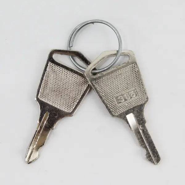 Pair of 365 Keys for Server Cabinet Data Rack Lock Replacement