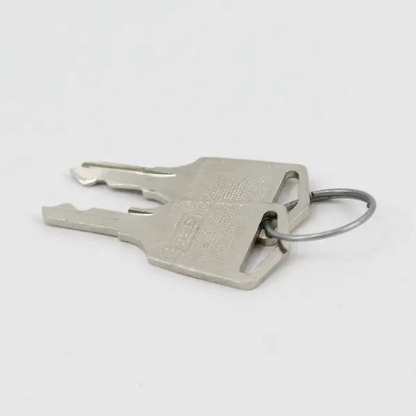 Pair of 365 Keys for Server Cabinet Data Rack Lock Replacement
