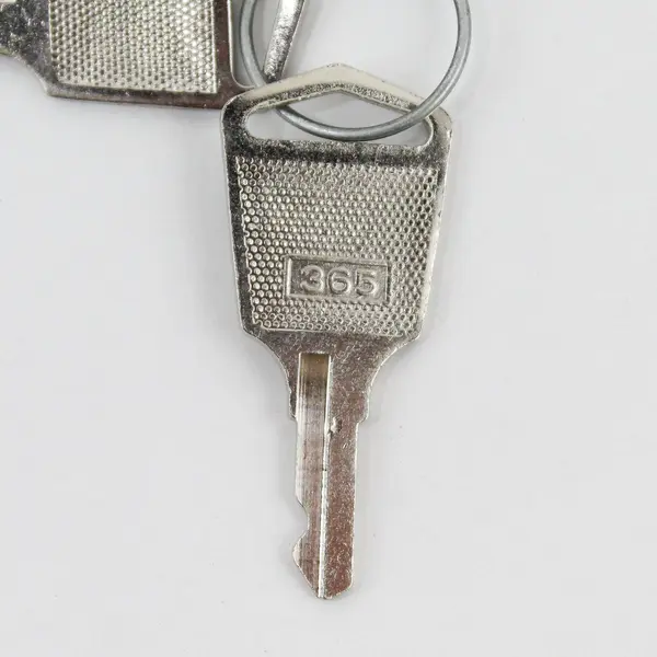 Pair of 365 Keys for Server Cabinet Data Rack Lock Replacement