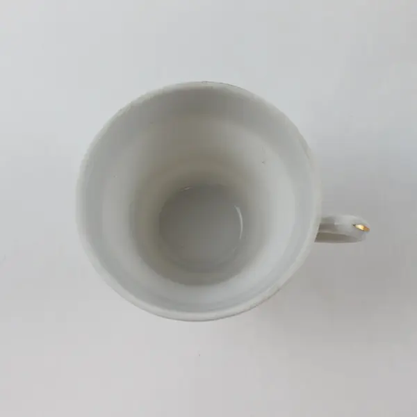 Set of 6 Vintage  Moss Rose Porcelain Fine China Tea Cups W/Gold Trim