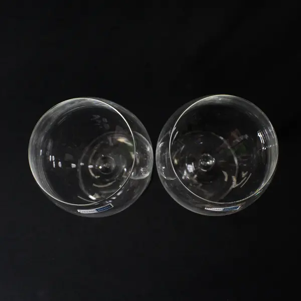 2 Schott Zwiesel Tritan Wine Glasses 10"