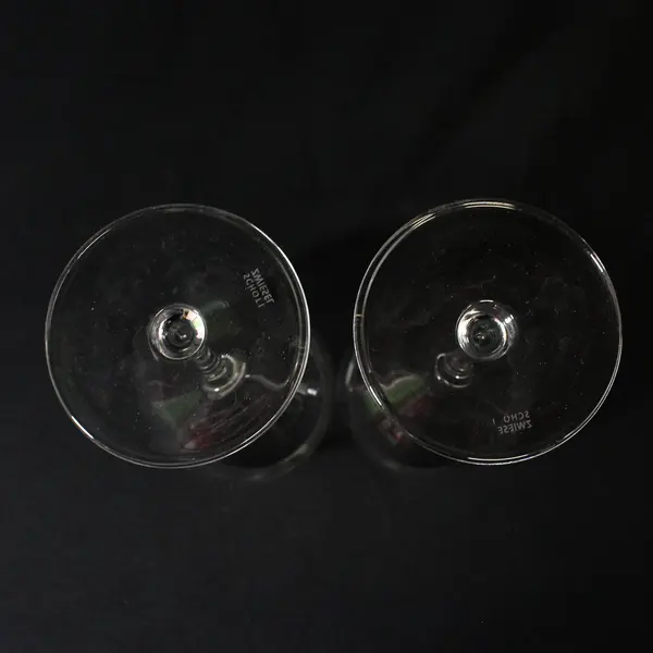 2 Schott Zwiesel Tritan Wine Glasses 10"