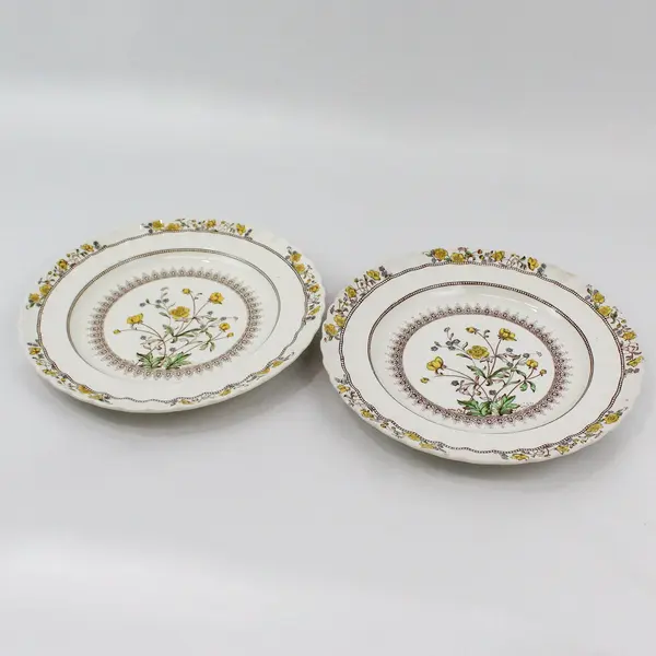 2 Spode Buttercup Dinner Plates 10.25" Back Stamp