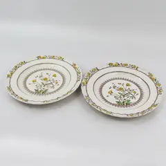 2 Spode Buttercup Dinner Plates 10.25" Back Stamp