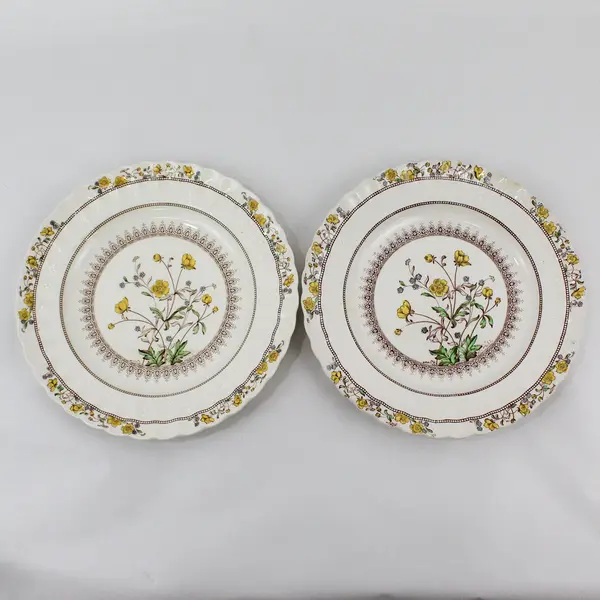 2 Spode Buttercup Dinner Plates 10.25" Back Stamp