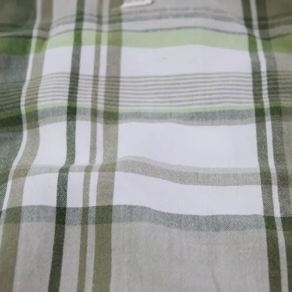 Gap Men's Size 30 Green White Plaid Casual Shorts