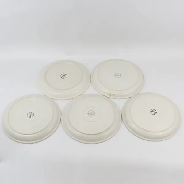 Set of 5 Johnson Brothers Table Plus Sandlewood  Dinner Plates 10.5" 