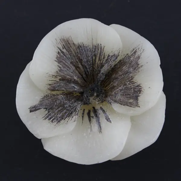 Lot of 3 Ivory Poppy-Inspired Decorative Candles